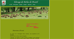 Desktop Screenshot of picarel-cerf.com